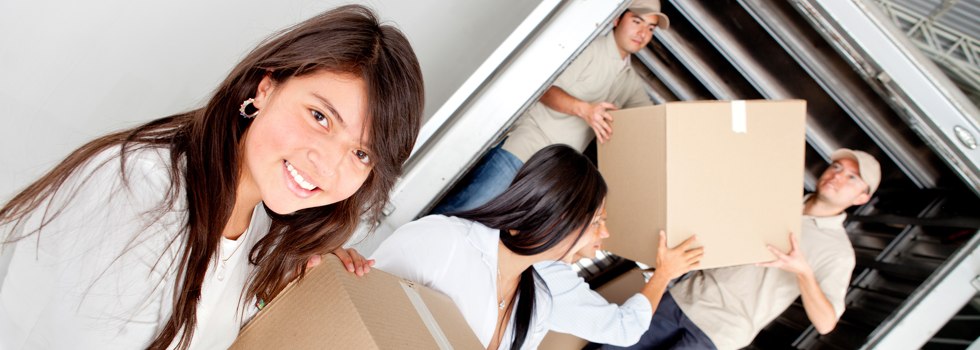 Professional Removalists Lovedale